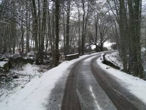 WhatsApp Image 2019-04-07 at 00.12.41