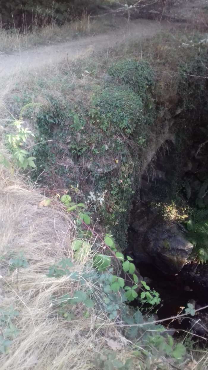 WhatsApp Image 2019-08-21 at 15.42.08