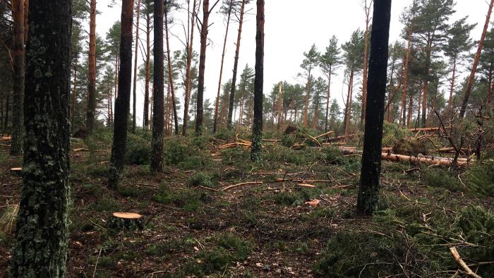 WhatsApp Image 2019-12-22 at 17.29.38