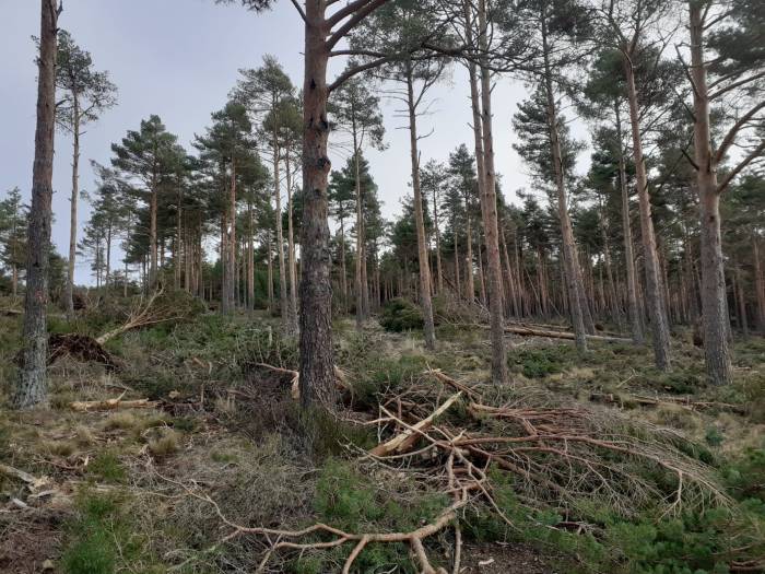 WhatsApp Image 2019-12-25 at 16.26.04