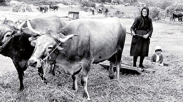 mujeres-obreras-5318