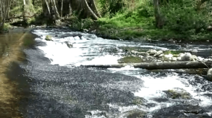 90943403_516559499030551_2653118877763895296_n