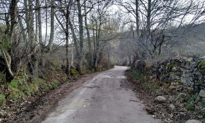 91754954_220341829171974_5408340922133905408_n